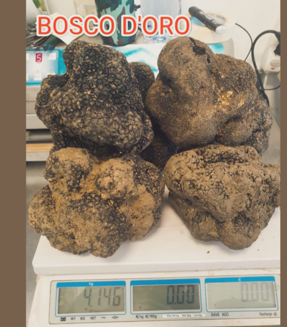 Italian Black Summer Truffles (Each truffle up to 15g in size)