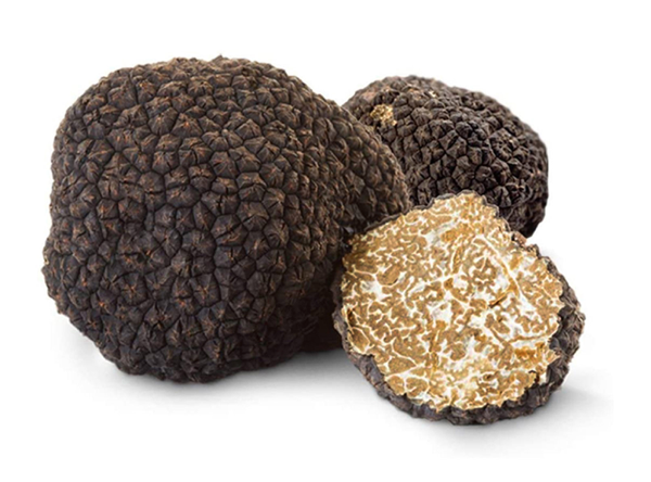 Italian Fresh Autumn Black Truffles (Up to 14g ) Tuber Ucinatum Vitt