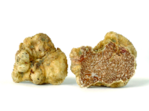 Italian White Winter Truffles SOLD OUT - Next orders JANUARY 2025