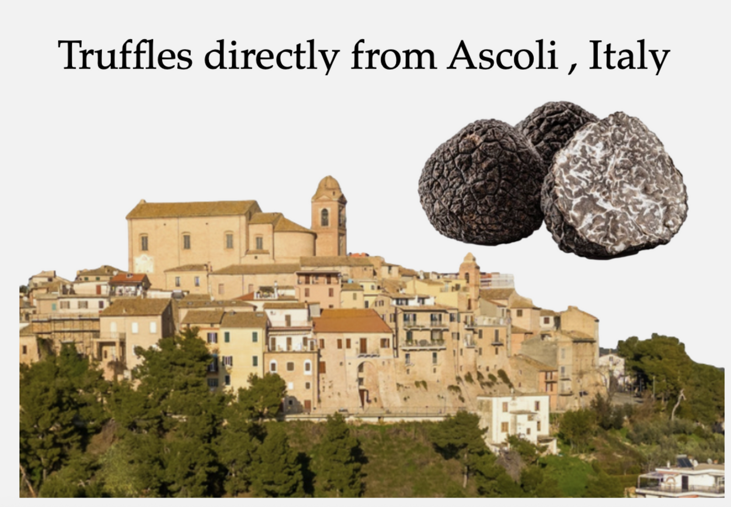 Italian Winter Black Fresh Truffles - 1 Kg or 500g - (Truffle up to 20g - 300g)