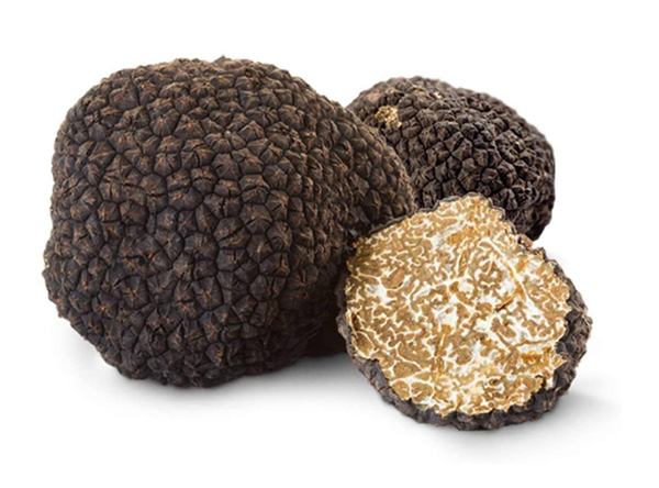 Black Summer Truffles - A treasure !!