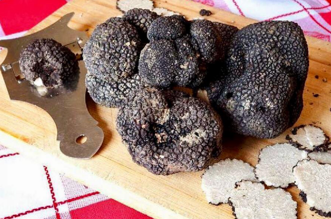 Italian Black Winter Truffle Season