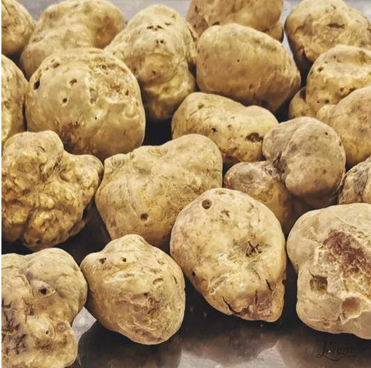 Fresh White spring Truffles