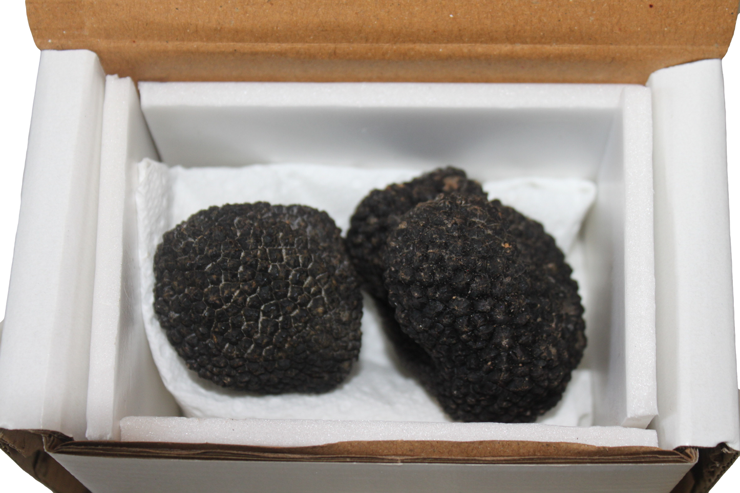 Fresh Summer Black Truffle - Size up to 20g - 300g - (Tuber Aestivum Vitt.)
