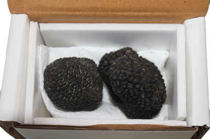 Fresh Summer Black Truffle - Size up to 20g - 300g - (Tuber Aestivum Vitt.)