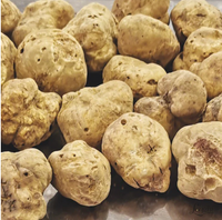 Italian Fresh White Spring (Tuber Albidum Pico-Tuber Borchii Vitt.) Truffles (Each truffle 5g-9g   in size)