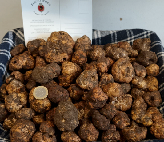 Fresh Italian White Winter Truffles up to 14g in size