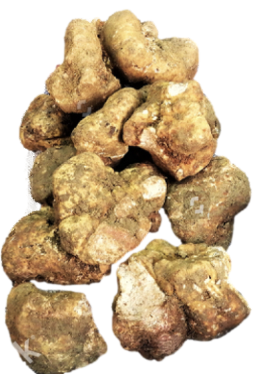 Italian White Winter Truffles SOLD OUT - Next orders JANUARY 2025