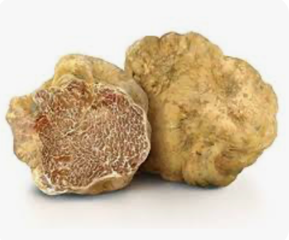 Italian Fresh White Spring (Tuber Albidum Pico-Tuber Borchii Vitt.) Truffles (Each truffle 5g-9g   in size)