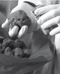 Fresh Summer Black Truffle - Size up to 20g - 300g - (Tuber Aestivum Vitt.)