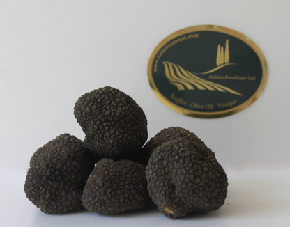 Fresh Summer Black Truffle - Size up to 20g - 300g - (Tuber Aestivum Vitt.)